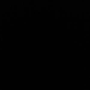 Meet your Posher, Chase